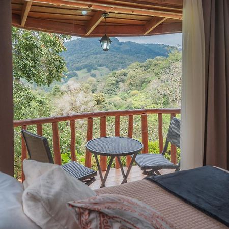 Cedrela Eco-Lodge & Restaurante Copey Екстер'єр фото