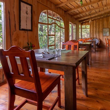 Cedrela Eco-Lodge & Restaurante Copey Екстер'єр фото