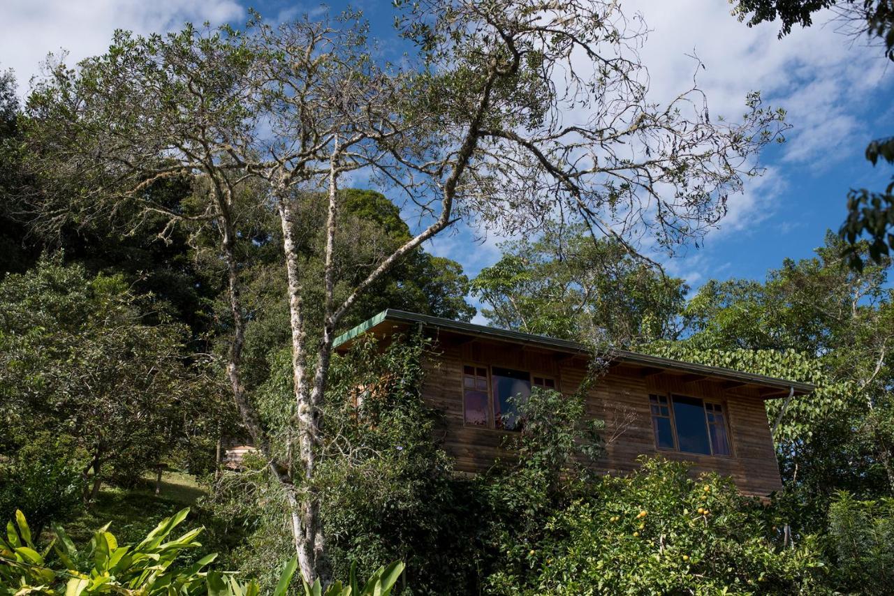 Cedrela Eco-Lodge & Restaurante Copey Екстер'єр фото