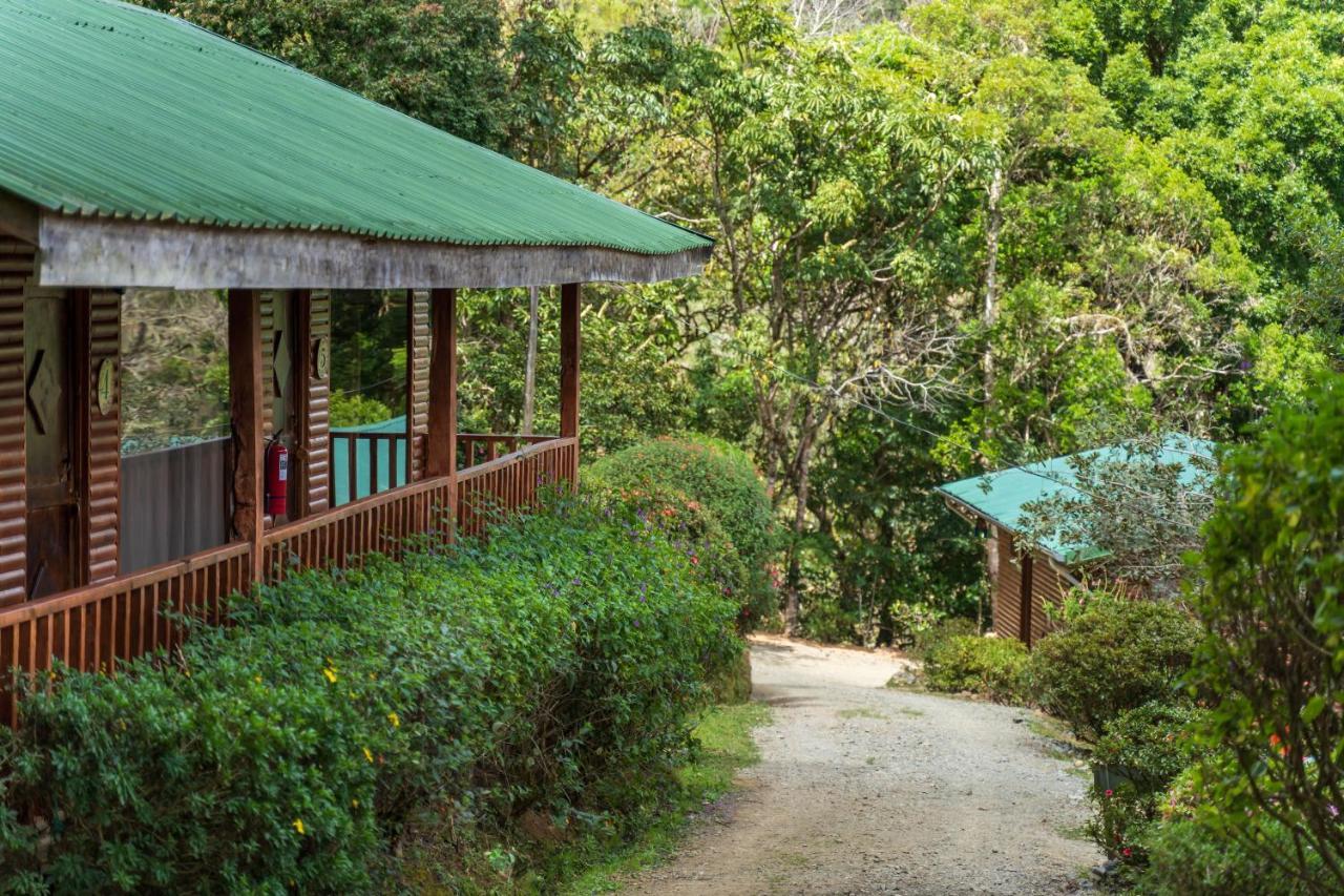 Cedrela Eco-Lodge & Restaurante Copey Екстер'єр фото