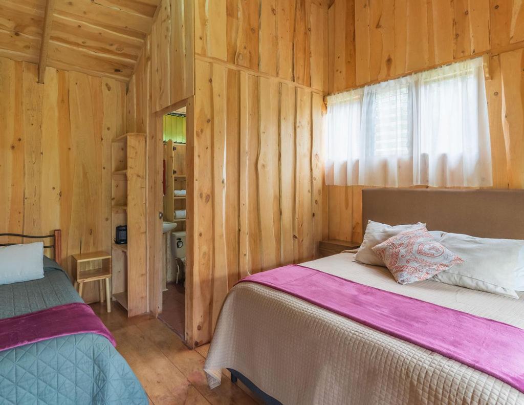 Cedrela Eco-Lodge & Restaurante Copey Екстер'єр фото