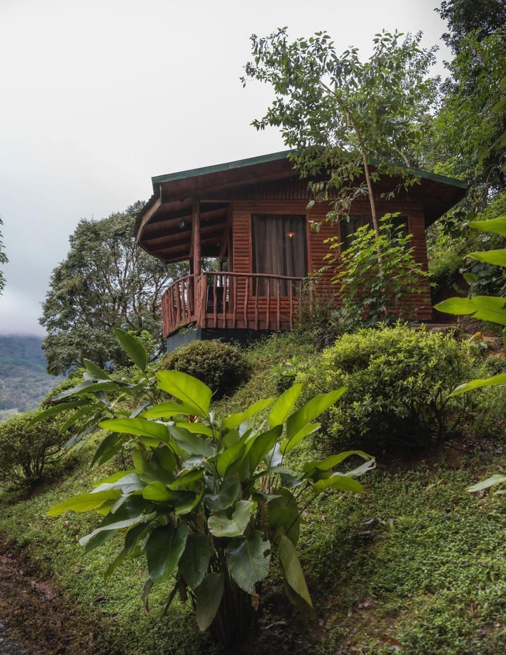 Cedrela Eco-Lodge & Restaurante Copey Екстер'єр фото
