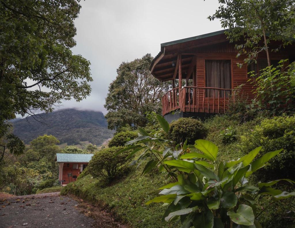 Cedrela Eco-Lodge & Restaurante Copey Екстер'єр фото