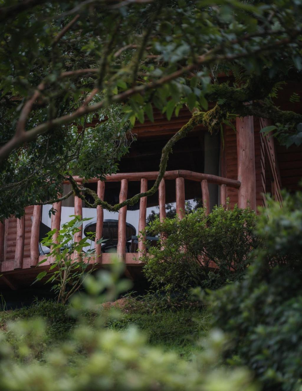 Cedrela Eco-Lodge & Restaurante Copey Екстер'єр фото