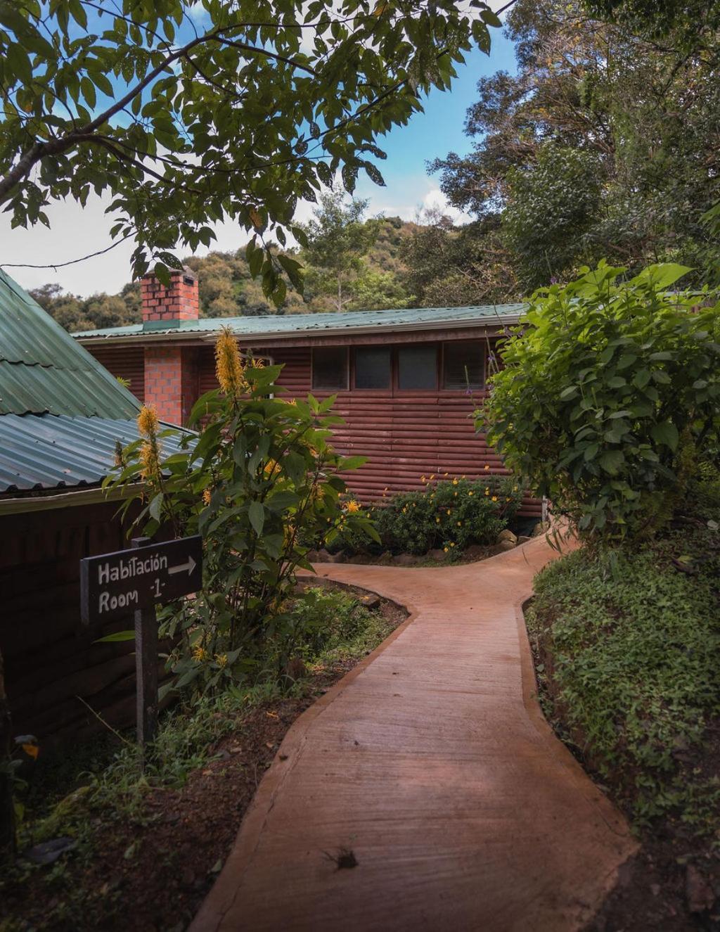 Cedrela Eco-Lodge & Restaurante Copey Екстер'єр фото