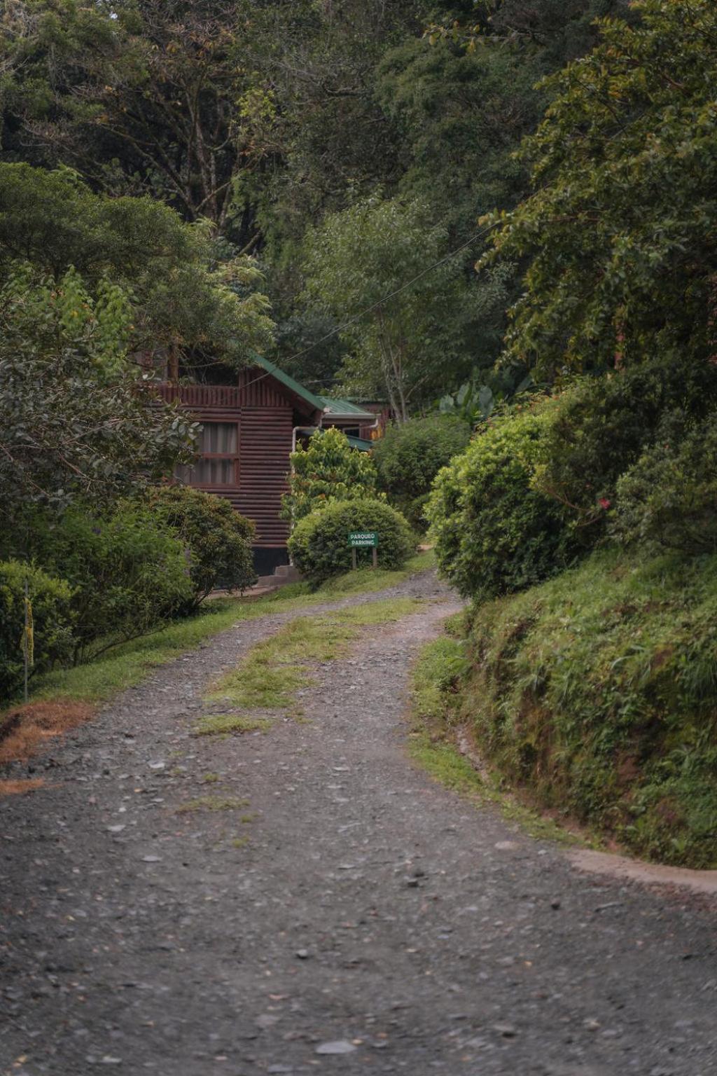 Cedrela Eco-Lodge & Restaurante Copey Екстер'єр фото