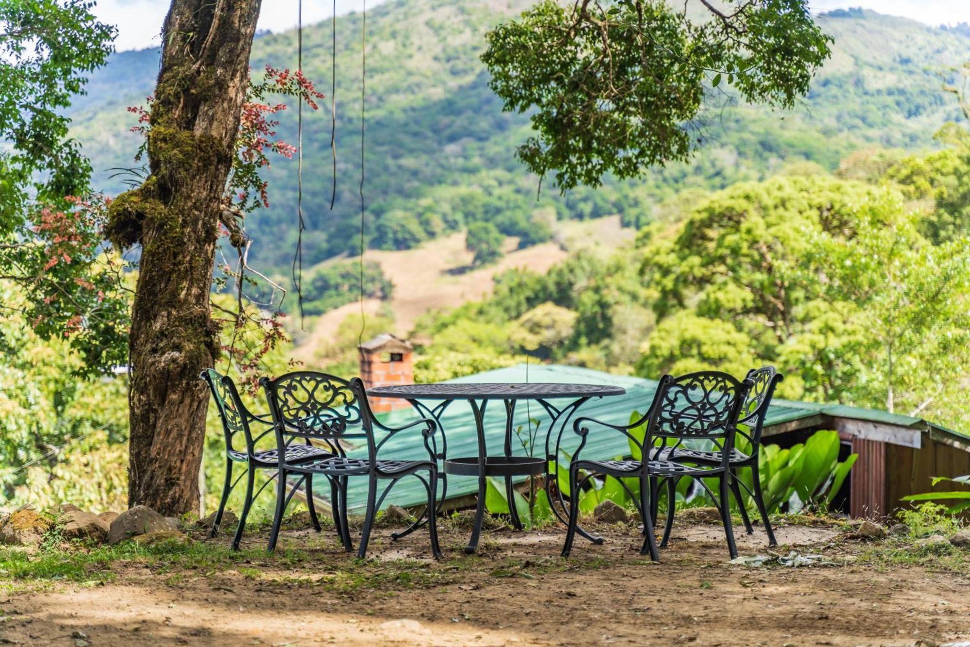 Cedrela Eco-Lodge & Restaurante Copey Екстер'єр фото
