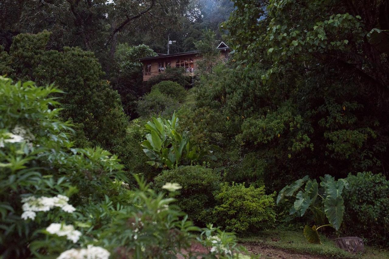 Cedrela Eco-Lodge & Restaurante Copey Екстер'єр фото